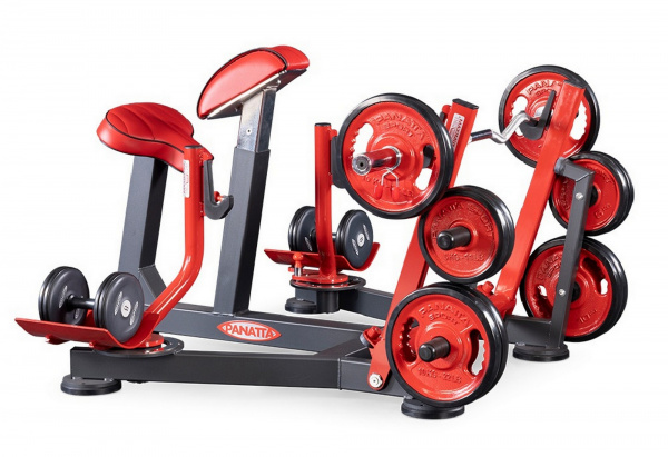 Бицепс с упором в грудь (скамья пастыря - preacher curl) Panatta 1FW512